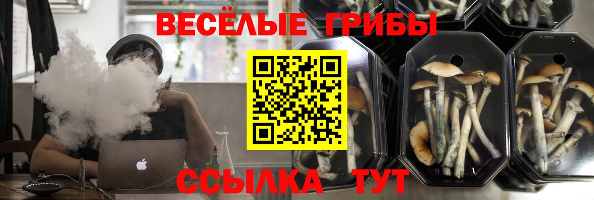 Спасск-Дальний  Галлюциногенные грибы Cubensis  Псилоцибиновые грибы MAGIC MUSHROOMS  Вход с VPN 